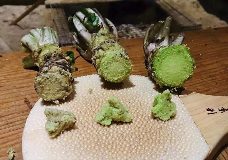 5 Japanese Wasabi Root Seeds for Planting - Wasabia japonica