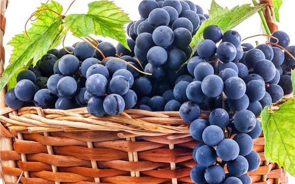 Grape Bonsai Seeds | Vitis Vinifera (50+ Seeds)