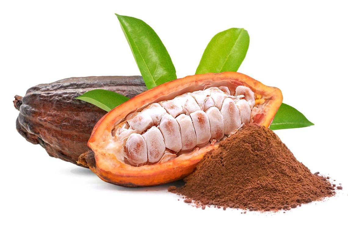 Theobroma Cacao Seeds — Fresh Cocoa Seeds for Planting