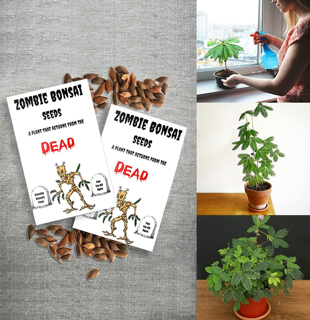 Zombie Bonsai Seeds (2 Pack) — Interactive Touch-Sensitive Plant