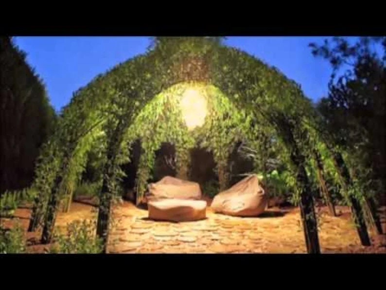 Living Willow Structure — 10 Tree cuttings, Fast-Growing Hybrid