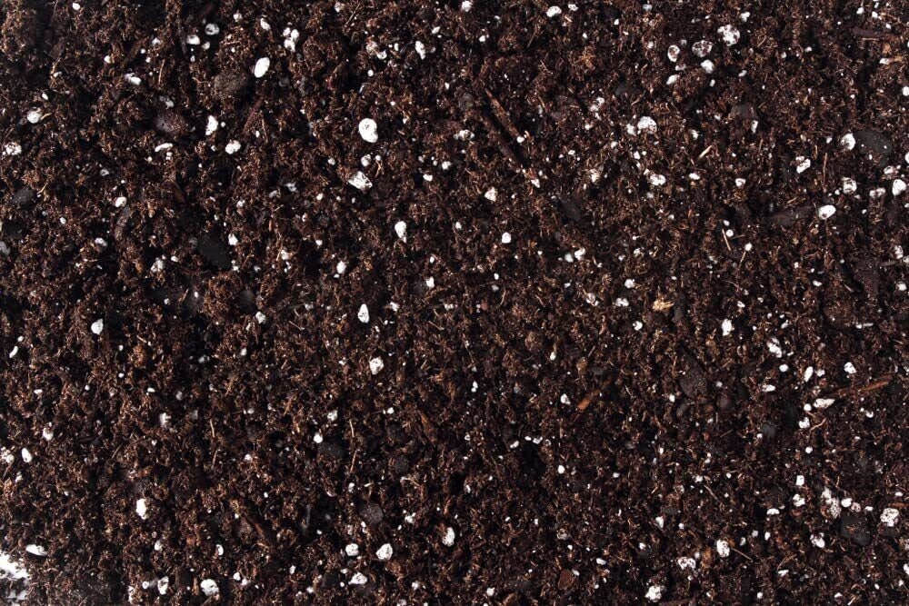 100% Organic Bonsai Soil | All-Purpose Organic Blend (2 Quarts)